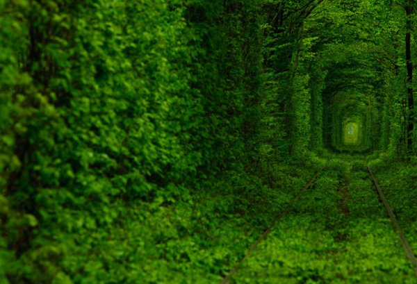 Снимка: trasyy.livejournal.com