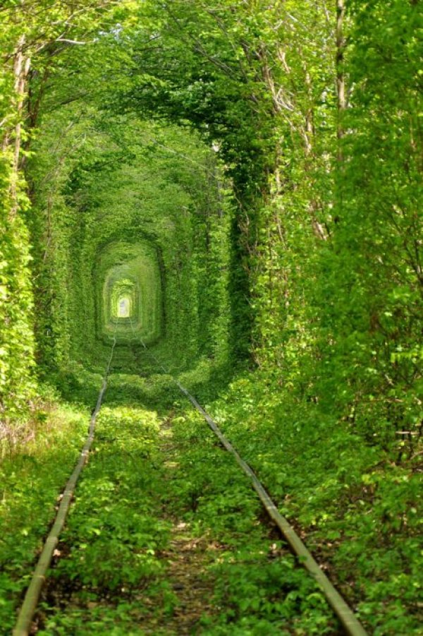 Снимка: trasyy.livejournal.com