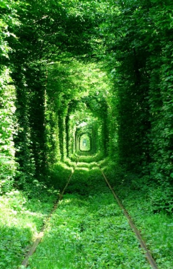Снимка: trasyy.livejournal.com