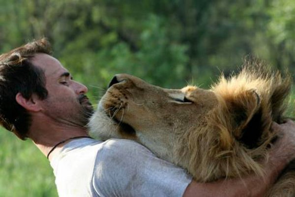 Снимка: lionwhisperer.co.za