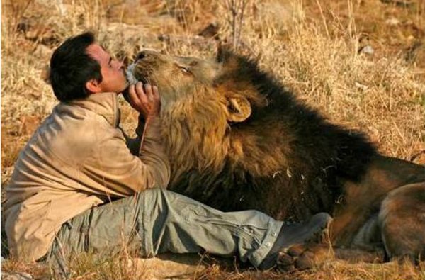 Снимка: lionwhisperer.co.za