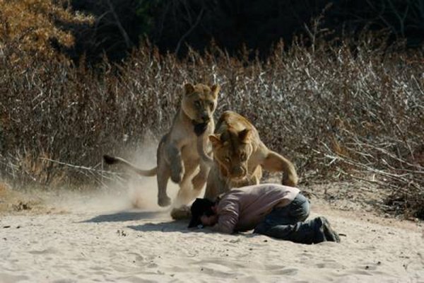 Снимка: lionwhisperer.co.za