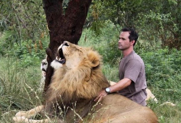 Снимка: lionwhisperer.co.za