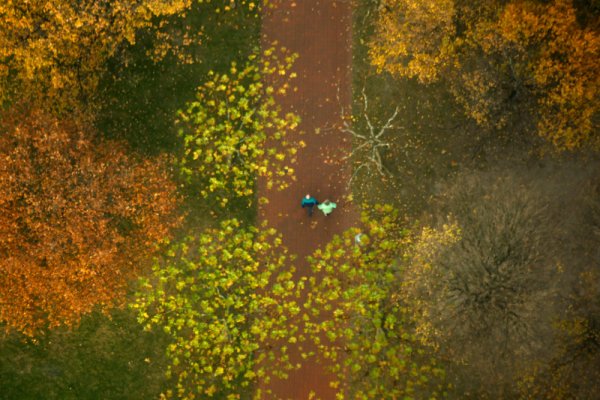 Двойка се разхожда из обагрен от есента парк в германския град Дюселдорф. Снимка: Reuters
