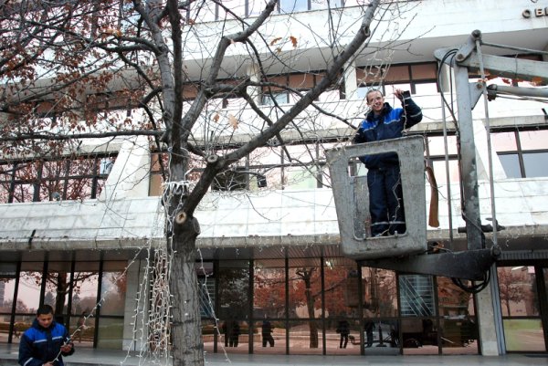 Със светещи гирлянди вече започнаха да украсяват за Коледа дърветата пред сградата на кметството на община Благоевград. Снимка: БТА