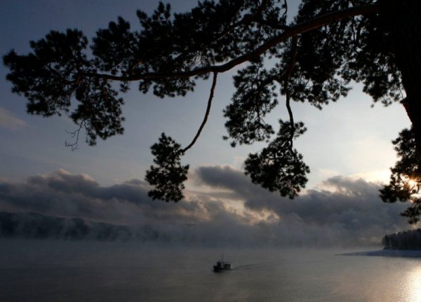 Моторна лодка плава през мразовита мъгла по река Енисей, на около 55 км южно от сибирския град Красноярск.  Снимка: Reuters