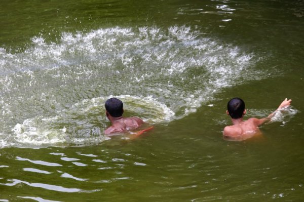 Индийски младежи се разхлаждат във водите на река край град Калкута. Снимка: БТА