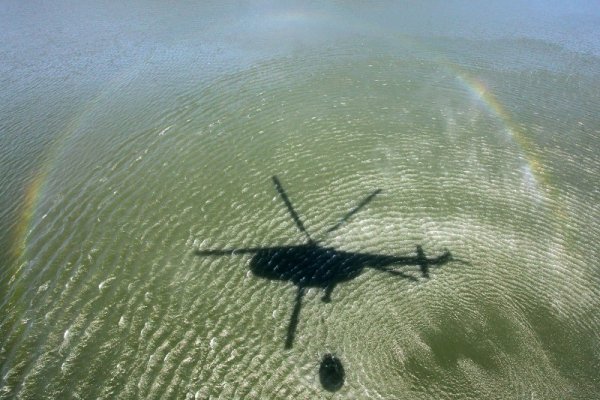 Снимка: Булфото