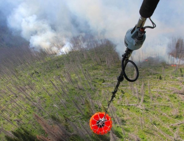 Снимка: Булфото