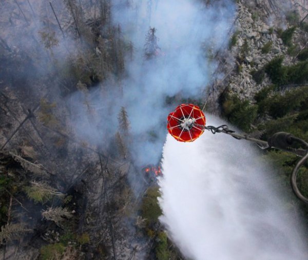 Снимка: Булфото