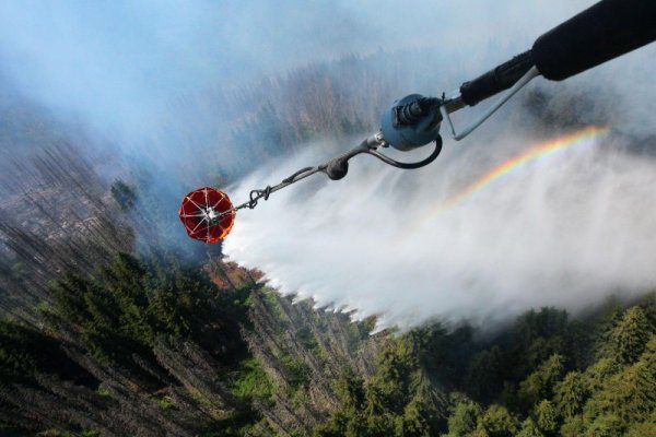 Снимка: Булфото