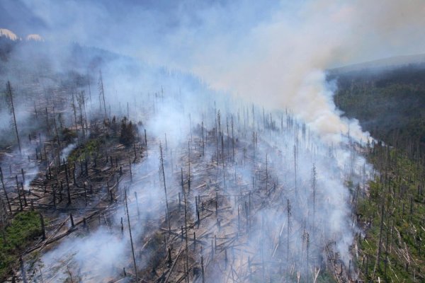 Снимка: Булфото