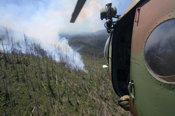 Снимка: Булфото