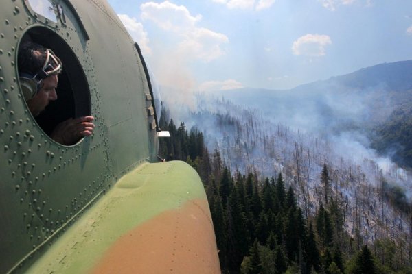 Снимка: Булфото