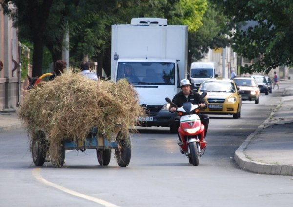 Каруца се движи в насрещно платно на оживения хасковски булевард "България". Снимка: БТА