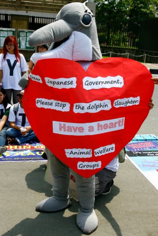 Хора протестират срещу избиването на делфини в Япония. Снимка: БТА