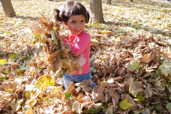 Момиченце си играе сред окапалите есенни листа в Морската градина. Времето във Варна продължава да е топло и много приятно. Снимка: Булфото