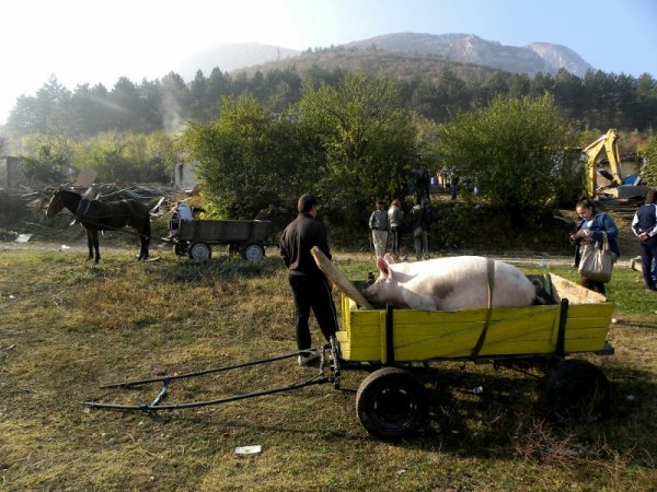 Снимка: Impact Press Group