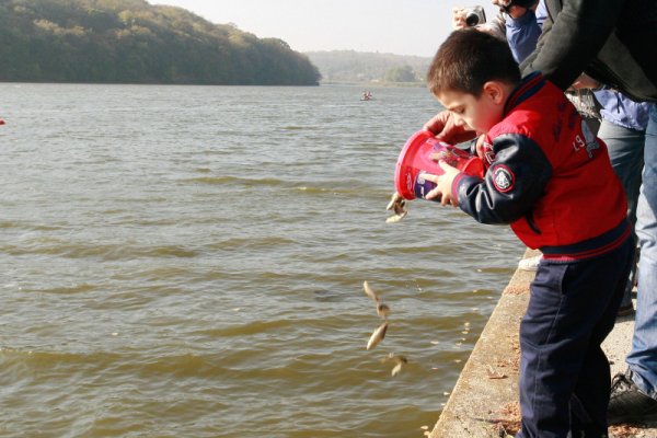 С близо 40 хил. броя зарибителен материал &ndash; шаран и толстолоб, бе зарибено езерото "Липник" - любимо място за отдих и почивка на русенци. Снимка: БТА