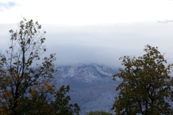 Лек сняг покри и Витоша. Снимка: БТА