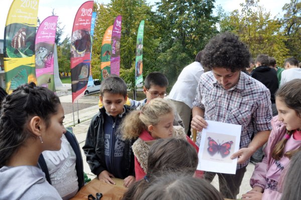 Изложба "2012 - Година на пеперудите” бе открита пред Регионалния исторически музей в Благоевград от Българска фондация "Биоразнообразие". Изложбата представя част от най-красивите пеперуди, характерни за българската фауна. В света има над 175 000 вида пеперуди, а в България се срещат над 3700. Снимка: БТА