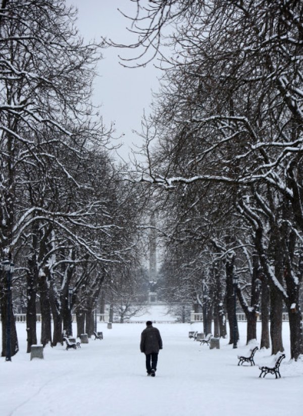 Зима в Борисовата градина. Снимка: БТА