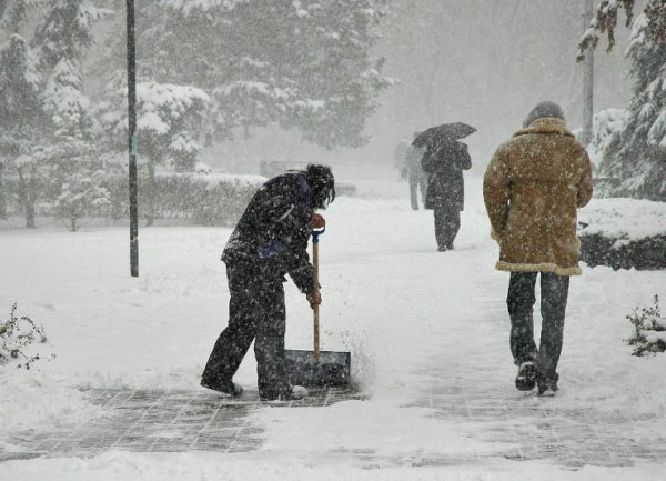 Служители на фирмите по чистотата с гребла за сняг почистваха спирките на градския транспорт и парковите алеи в София. Снимка: Булфото