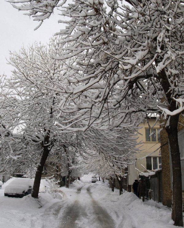 В Шумен снежната покривка достигна 25 сантиметра. Фирмата по чистота още в 22 часа снощи започна почистването на пътищата в града. Снимка: БТА