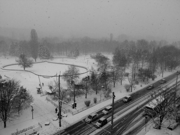 Южният парк в София Снимкa:мРепортер