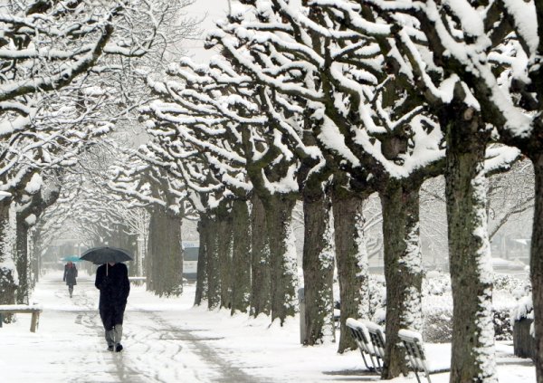 На разходка в заснежения парк в Цюрих, Швейцария. Снимка: БТА