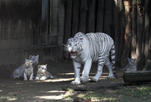 Снимка: Reuters