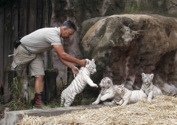 Снимка: Reuters