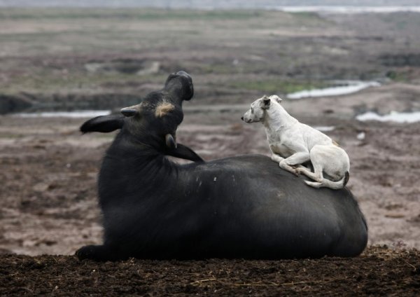 Снимка: Reuters