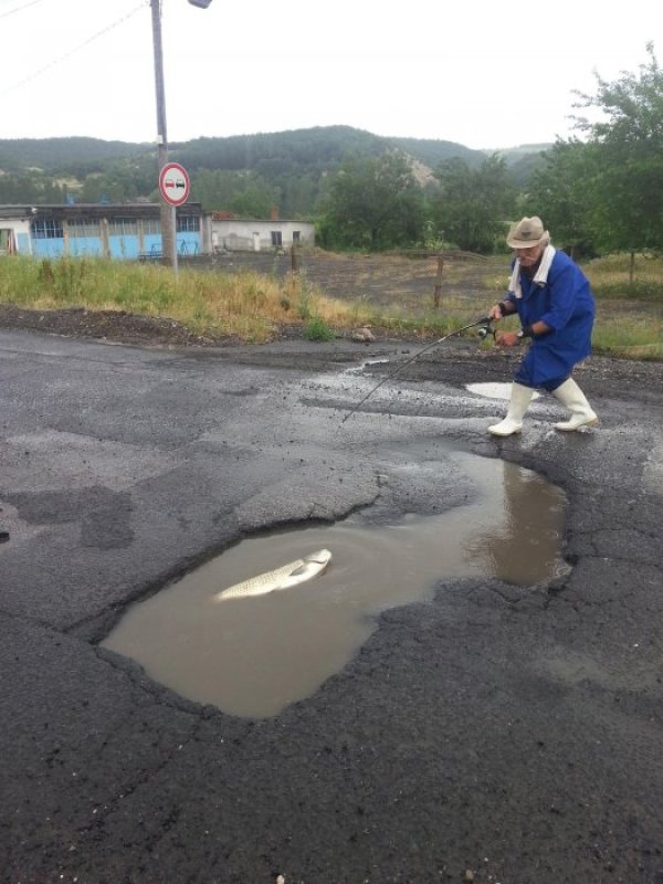 Снимка: Булфото