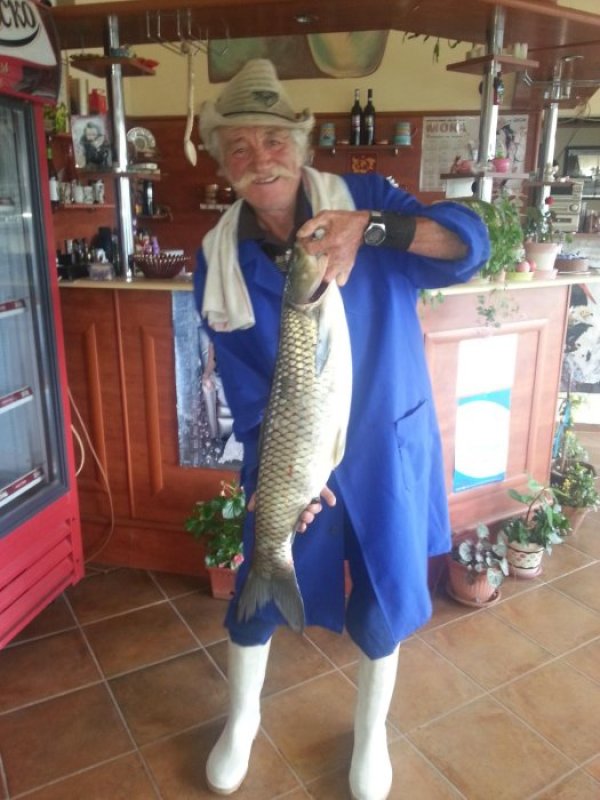 Снимка: Булфото