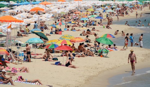 Снимка: Impact Press Group