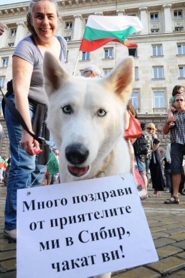 Снимка: Булфото