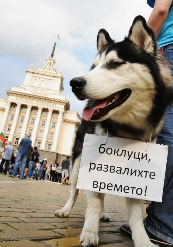 Снимка: Булфото