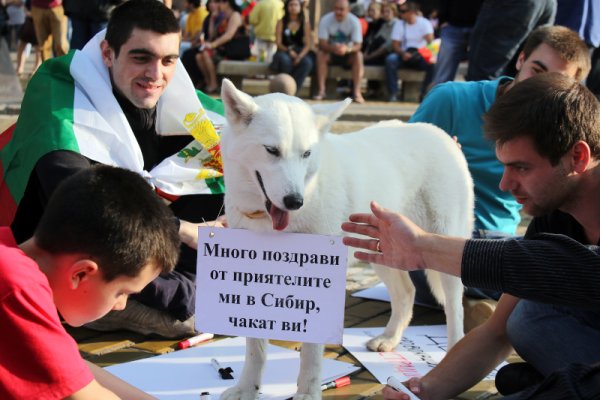 Снимка: БТА