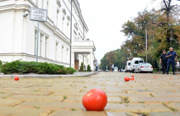 Те обаче така и не стигнаха целта си. Снимка: Булфото
