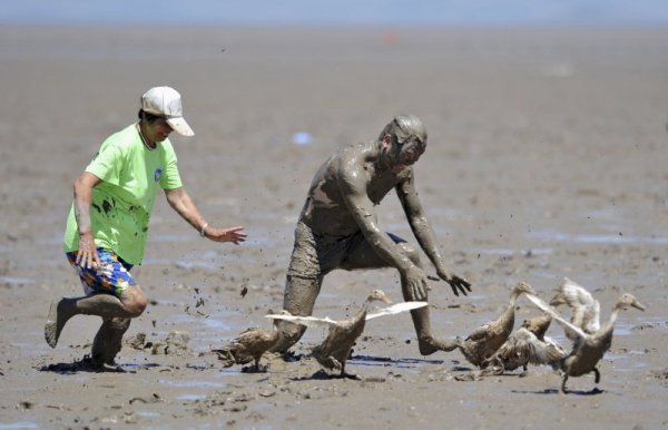 В китайската провинция Джъдзян се проведе странно състезание по залавяне на патици в кална местност. Атрактивната надпревара е част от фестивала на калта, който се организира в тази част на най-многолюдната страна в света. Снимка: Reuters
&nbsp;
