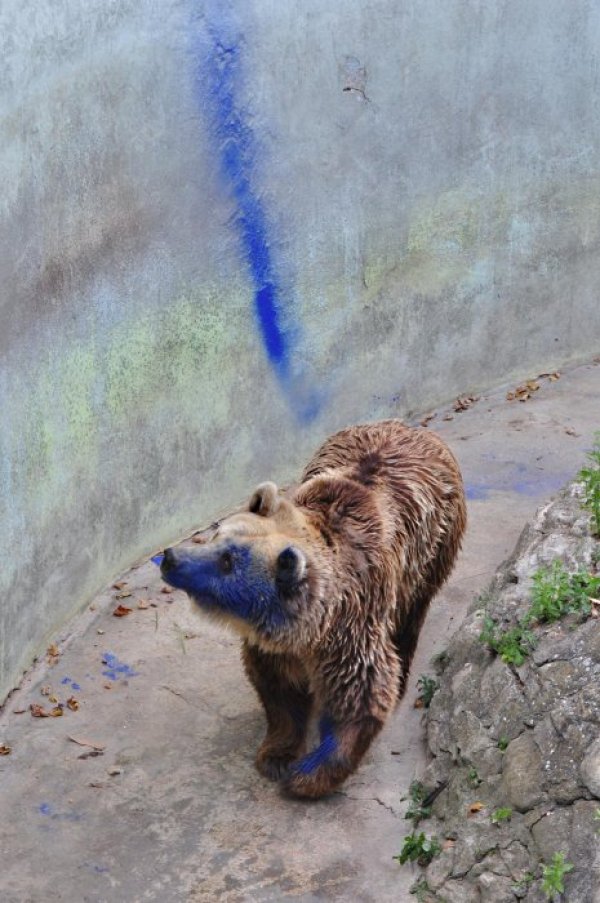 Снимка: Булфото