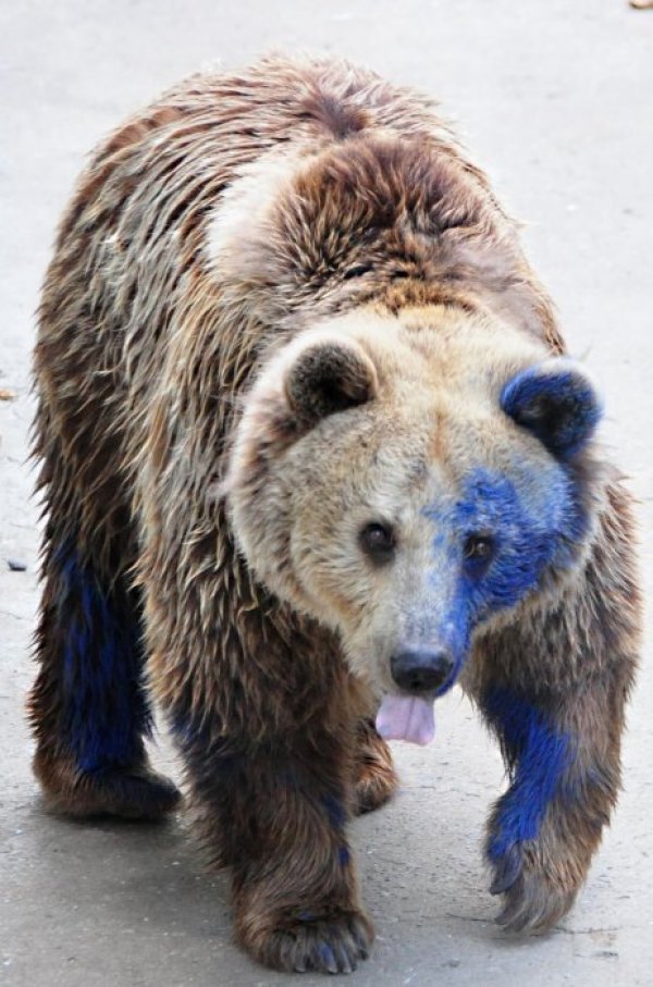 Снимка: Булфото