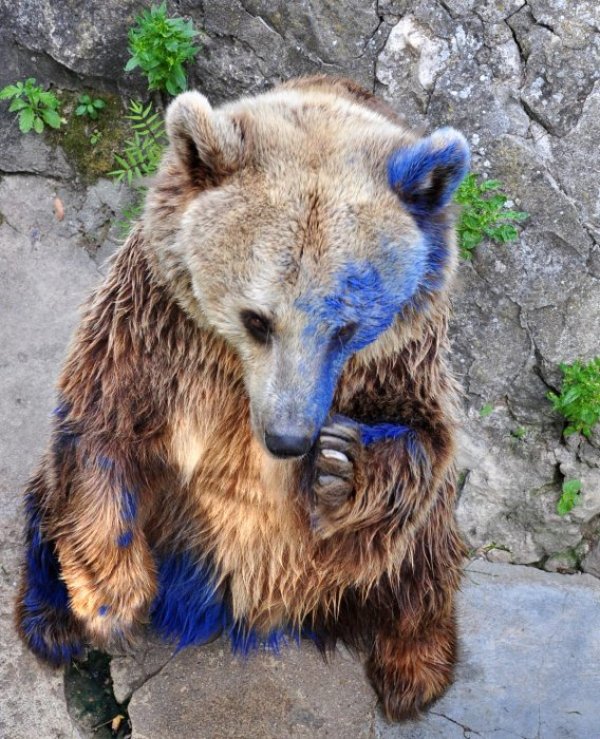 Снимка: Булфото