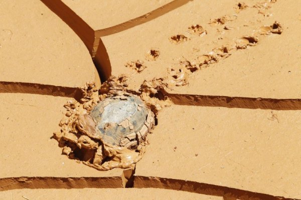 Костенурка си проправя бавно път в калта в село край израелско-ливанската граница. Снимка: Reuters