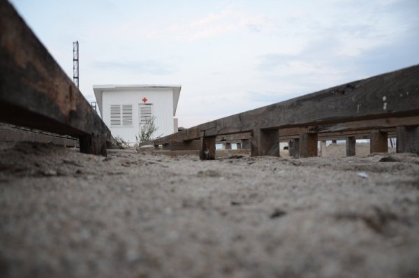 Снимка: Impact Press Group