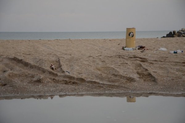 Снимка: Impact Press Group