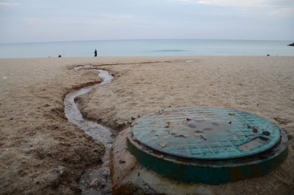 Снимка: Impact Press Group