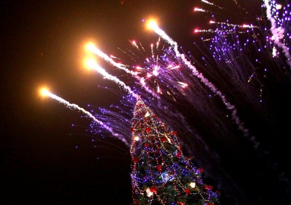 Коледната елха в столицата. Снимка: БТА