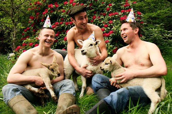 Снимка: Farmercalendar